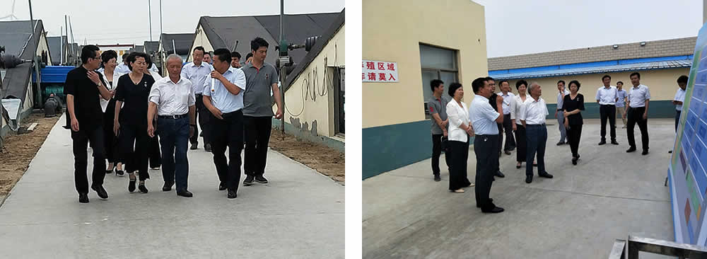 新聞=省委胥秘書(shū)長(cháng)與省農業(yè)農村廳楊廳長(cháng)一行及市、縣等領(lǐng)導，來(lái)我司視察02.jpg