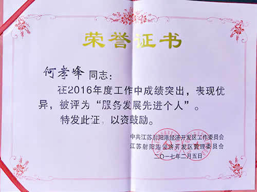 服務(wù)發(fā)展先進(jìn)個(gè)人榮譽(yù)證書(shū)